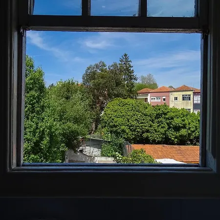 O2 Porto